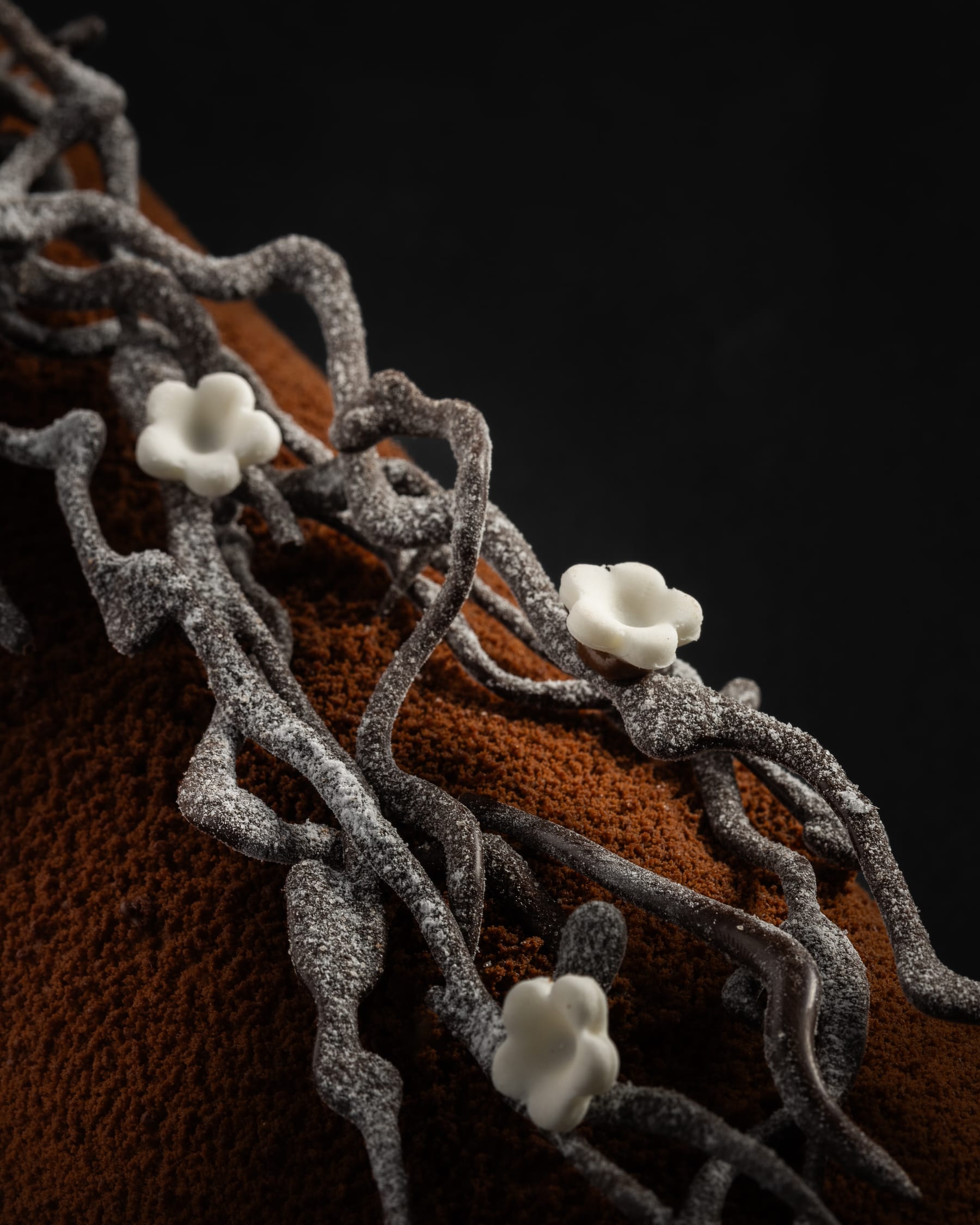 A close detail of a chocolate cake edge piped with grey branches and small white flowers